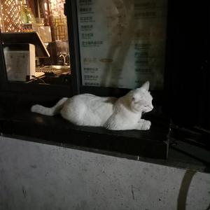 《高潮3》hd未删减在线吗免费观看
