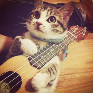 《高潮3》hd未删减在线吗免费观看
